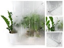 Bambusová okenná fólia 3D statická dyha pre Windows