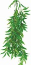 DEKORÁCIA RASTLINNÉHO TERÁRIA FIKUS LONGIFOLIA 70CM