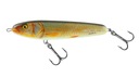 SALMO SWEPER 14SR REAL ROACH QSE042