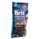 BRIT Premium By Nature LAMB RICE Sensitive 15 kg