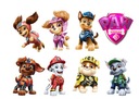 Sugar print PAW PATROL PAW MOVIE Názov Age rose