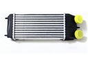 LORO INTERCOOLER 009-018-0005