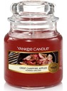 Malá sviečka Yankee Candle Crisp Campfire Apples