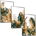 50x40 SET RÁM OBRAZY PLAGÁTY MONSTERA RÁMOVÉ LISTY BOHO NATURE ART