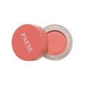 PAESE BLUSH KISSED CREAM PINK 02 4G