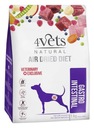 4Vets Natural Dog Gastro Intestinal SUCHÉ KRMIVO 1kg