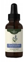 Drops Magic Garden Catnip 50 ml relax