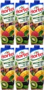 Multivitamínový džús Hortex, kartón 1l x 6