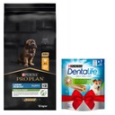 Purina PRO PLAN Large Robust Puppy Chicken 12 kg + pochúťka na zuby ZDARMA