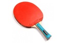 ZEPHYR/METEOR PING PONG BALET