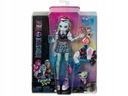 ZÁKLADNÁ BÁBIKA MONSTER HIGH FRANKIE STEIN HHK53