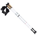 Nastaviteľné palice na Nordic Walking Long Life Lite SMJ sport HS-TNK-000006680 N