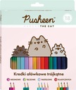 CERUŽKOVÉ PASTELKY 18 FAREB PUSHEEN BAMBINO