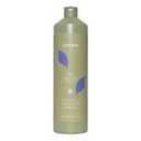 ECHOSLINE No Yellow Shampoo 1000ml