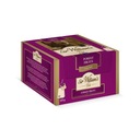 Sir William's Tea Forest Fruits 50x2,4g