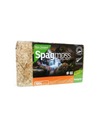 BESGROW SPAGMOSS Novozélandský Sphagnum Moss 100g