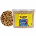 Tropické Koi&Goldfish Wheat GermCesnak 11L