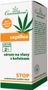 CANNADERM CAPILLUS Sérum proti vypadávaniu vlasov