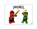 Lego Ninjago Sugar Print Characters Warrior