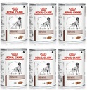 Royal Canin DOG Hepatic plechovka 6x 420g