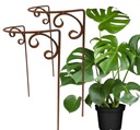 Štýlová podpera pre rastliny, kríky, kvety, PERGOLA, Lesk, masív, H30 V, 50 cm