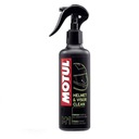 MOTUL Helmet Visor Clean M1 čistič na prilbu a šošovky 250 ml