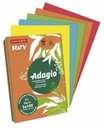 ADAGIO KOPÍROVACÍ PAPIER A4 80G MIX INTENSIVE 200 listov