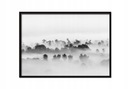 OBRAZOVÝ PLAGÁT V RÁME 43x33 cm Fog P610