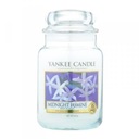 YANKEE CANDLE JASMINE VONNÁ SVIEČKA Jasmine 623