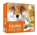 FAUNA POĽSKA PAMÄŤ, ADAMIGO