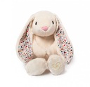 Whisbear LUMI Rabbit s funkciami