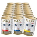 Dolina Noteci RAFI CAT Mix príchutí 24x415g