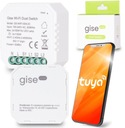 GISE SMART Dual Switch Tuya WiFi dvojitý ovládač osvetlenia