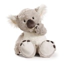 NIT KOALA 25 CM