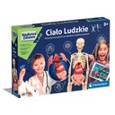 Ľudské telo SCIENTIFIC FUN CL60249