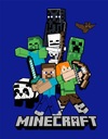 MINECRAFT Dekoračná deka pre mládež 110x140 Creeper Steve