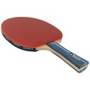 PING-PONG PING-PONG JOOLA Team Premium