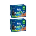 Brit CAT VRECKY 4800g TANIER STERILNÝ 24x100g