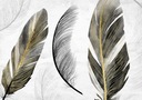 FOTOTAPETA BOHO NATURE FEATHER 400x280 b-C-10211-a-a