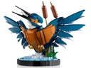 LEGO Icons 10331 Kingfisher