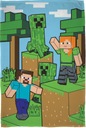 MINECRAFT deka 100x150 Creeper Steve