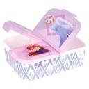 Frozen Frozen Lunchbox