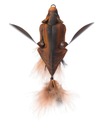 Lure Bat Brown 3d Bat 10cm 28g Savage