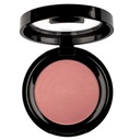 Pierre Rene Professional Rouge Powder lícenka 02 6g