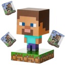 Licencia Minecraft Steve 3D Icon Light