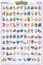 POKEMON - PLAGÁT SINNOH POKEMON ENGLISH (91,5X61)