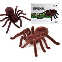 Diaľkovo ovládaný robot Spider TARANTULA SA MÔŽE STRAŠIŤ + NA DIAĽKU