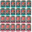 RAFI Junior Mix príchutí 24x400g Dolina Noteci