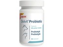 DOLVIT PROBIOTIC 60TAB podporuje tráviaci systém