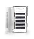 CAMELLIA WONDER LASHES D 0,07 PRÍRODNÉ